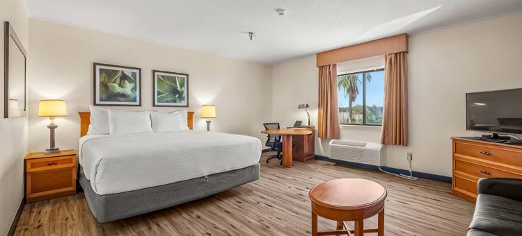 坦帕布兰顿西拉昆塔温德姆套房酒店(La Quinta Inn & Suites by Wyndham Tampa Brandon West)图片