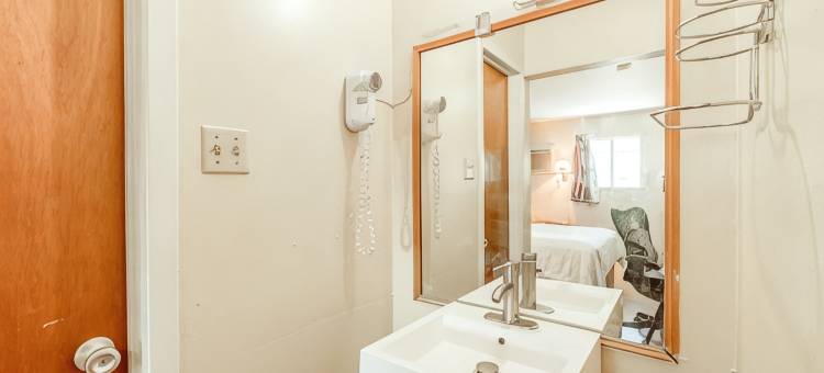 OYO美国旅馆(OYO American Inn)图片