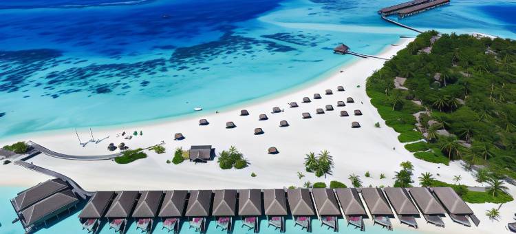 马尔代夫康斯丹魔富士酒店 - 一价全包(Constance Moofushi)图片