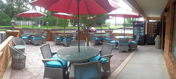 庙台-坦帕北华美达酒店(Ramada by Wyndham Temple Terrace/Tampa North)图片