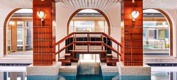 法恩精选度假村阿尔廷阿罗萨酒店(Hotel Altein Arosa, a Faern Collection Resort)图片