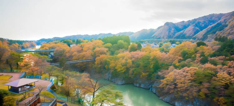 利夫马克斯度假酒店-鬼怒川店(LiVEMAX RESORT KINUGAWA)图片