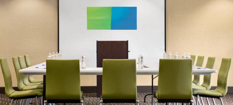 智选假日套房酒店安尼斯顿/牛津(Holiday Inn Express & Suites ANNISTON/OXFORD by IHG)图片
