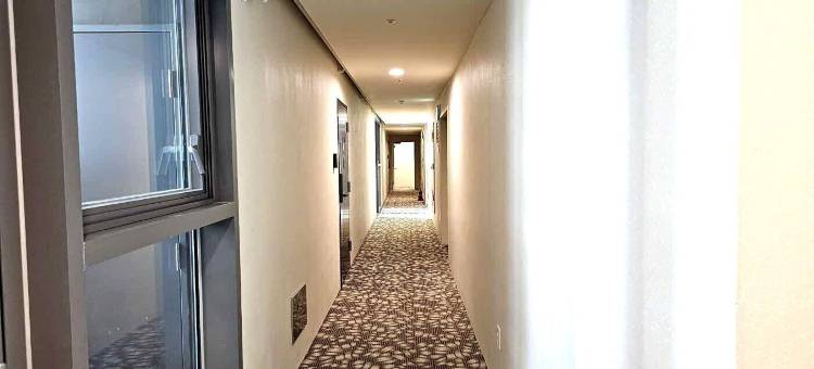 艾尔邦Raviens民宿(Raviens Elbon The Stay)图片
