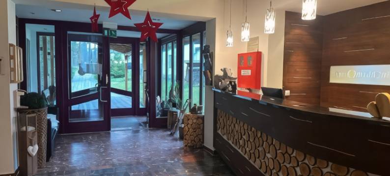 浩亚洪佛日恩假日酒店(Hotel Haus am Ahorn)图片