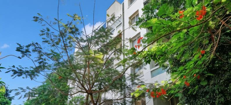 Fabhotel Woods Regency酒店(Hotel O Balewadi Formerly Woods Regency)图片