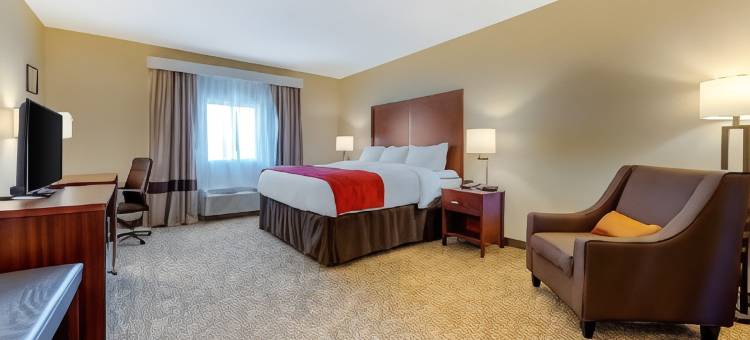 康福特酒店及套房密歇根城南部(Comfort Inn & Suites Michigan City South)图片