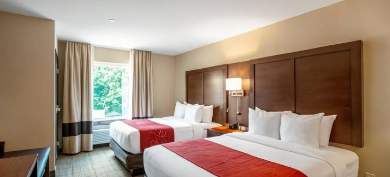 菲什基尔 84 号州际公路附近舒适全套房酒店(Comfort Suites Fishkill Near Interstate 84)图片