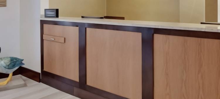 哈特福德法明顿Homewood Suites by Hilton(Homewood Suites by Hilton Hartford - Farmington)图片