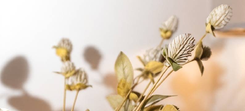 索卡酒店(Hotel Sokak)图片