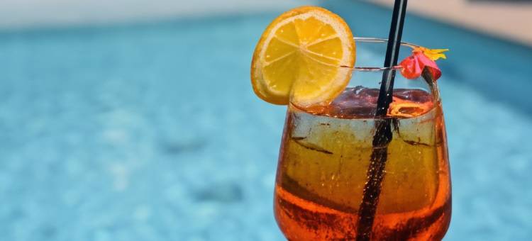 第戎南龙维克假日酒店(Holiday Inn Dijon Sud - Longvic)图片