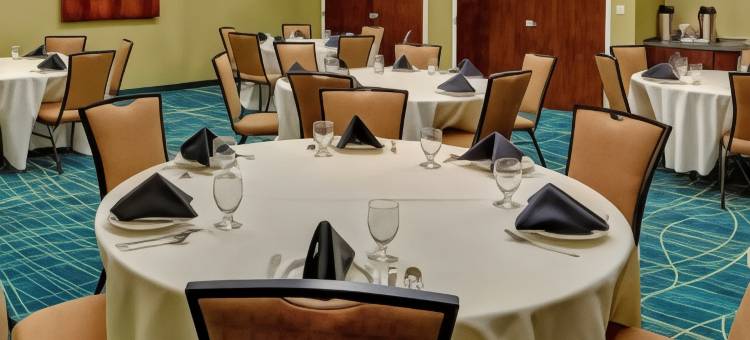 诺福克奥多明尼昂大学 SpringHill Suites 酒店(SpringHill Suites Norfolk Old Dominion University)图片