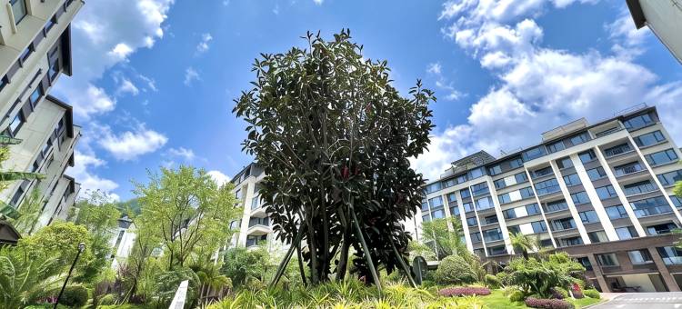 云鼎温泉旅居民宿(华侨城分店)图片