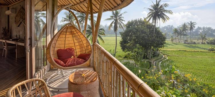 thewakanda A Pramana Experience图片