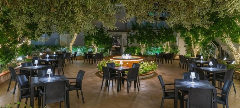 阿斯科特酒店(Hotel Ascot Sorrento)图片