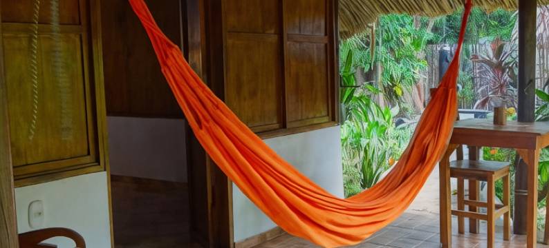 普里玛卢娜帕洛米诺(Primaluna Palomino)图片