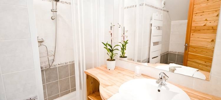 夏德纳斯温泉酒店(Ternélia - Chadenas avec Spa)图片