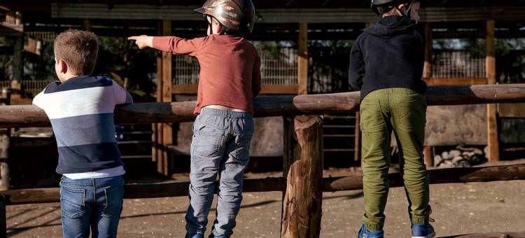 猎人谷度假村(Hunter Valley Resort, Hunter Farm Adventure Centre & 4 Pines at The Farm)图片