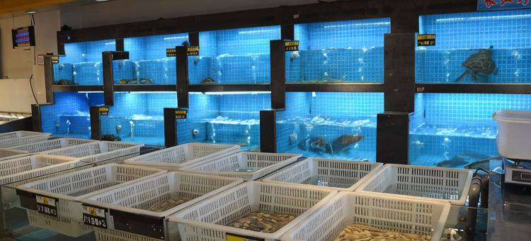 湖口天悦仁和酒店(湖口站店)图片