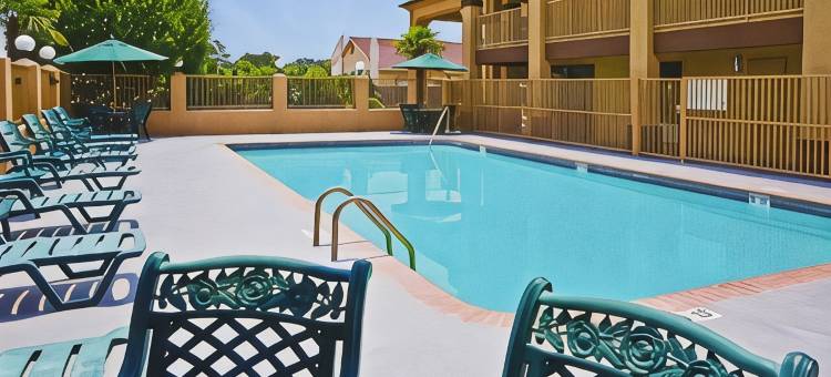 巴吞鲁日德纳姆斯普林斯美洲最佳价值酒店(Americas Best Value Inn Denham Springs)图片