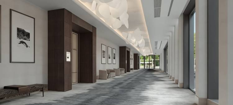 Hilton 杰克逊维尔梅奥诊所(Hilton Jacksonville at Mayo Clinic)图片
