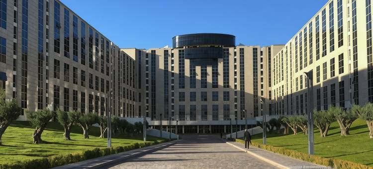 PM酒店(PM Hotel)图片