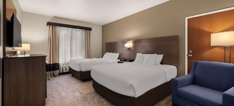 舒适套房旅馆(Comfort Inn & Suites)图片