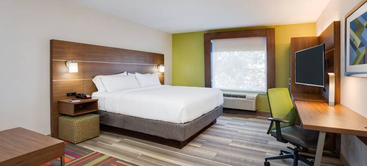 智选假日套房酒店坦帕展览会场娱乐场by IHG(Holiday Inn Express & Suites TAMPA-FAIRGROUNDS-CASINO by IHG)图片