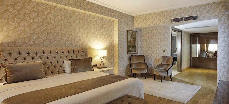 科尼亚阿内蒙酒店(Anemon Grand Konya Otel)图片