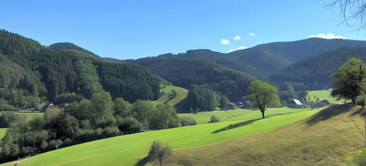 多瑙埃兴根温德姆花园酒店(Wyndham Garden Donaueschingen)图片