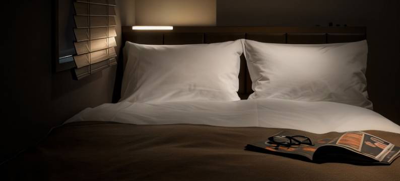 东京半藏门NEST酒店(Nest Hotel Tokyo Hanzomon)图片