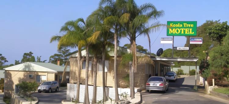 考拉树汽车旅馆(Koala Tree Motel)图片