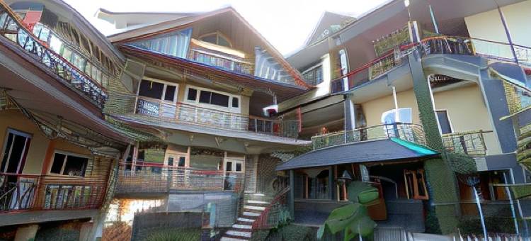 Nandini Villa Dharamshala图片