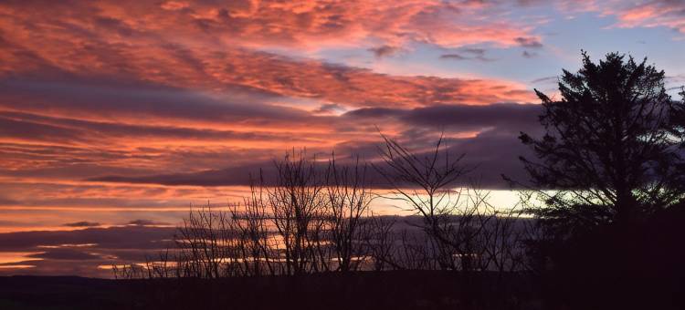 教堂山克罗夫特农场民宿(Chapelhill Croft)图片