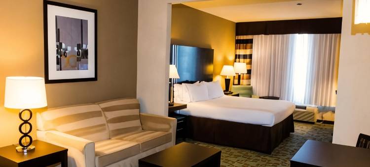 智选假日套房酒店休斯顿西北环城高速8西路(Holiday Inn Express & Suites Houston NW Beltway 8-West Road)图片