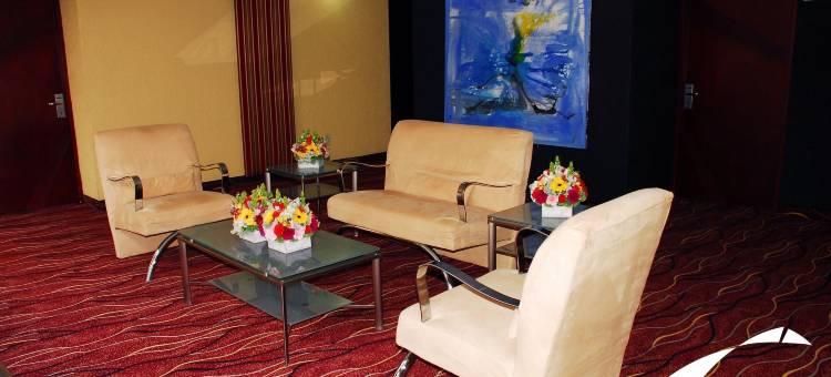 托卢卡协和酒店(Hotel Concorde Toluca)图片