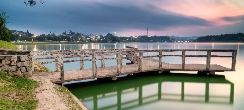 大叻三色堇酒店(Hotel Pansy)图片