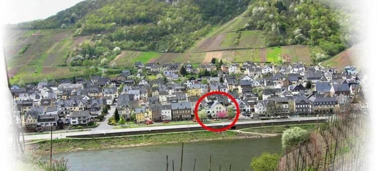 伯格酒庄酒店(Weinhaus Berg)图片