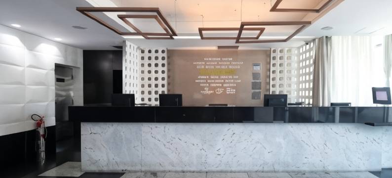 波旁贝洛奥里藏特阿丰索佩纳商务酒店(Bourbon Belo Horizonte Savassi)图片