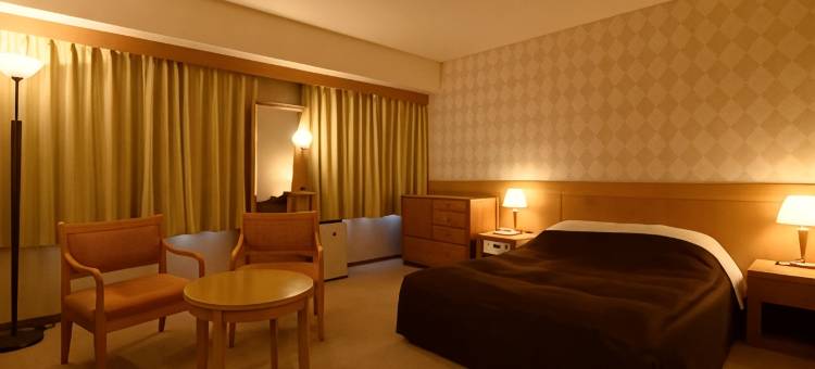 鯖江城市酒店(Sabae City Hotel)图片