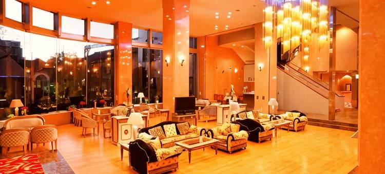 东京海湾广场酒店(Tokyo Bayplaza Hotel)图片