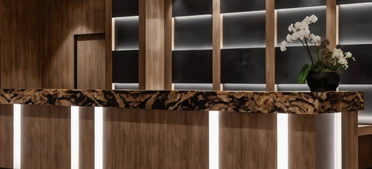 因斯布鲁克AC酒店(AC Hotel Innsbruck)图片