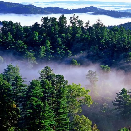 伊春3日2晚跟团游