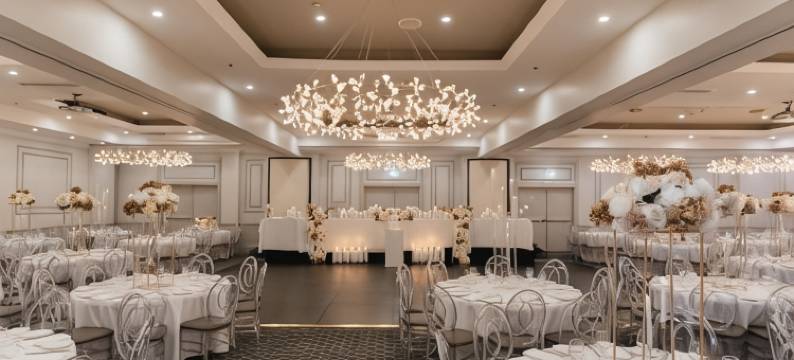 维西迪奥酒店(Visy Dior)图片