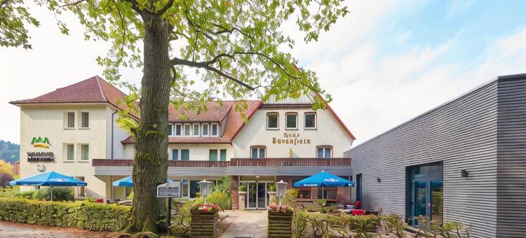 瓦尔德酒店熊石(Waldhotel Bärenstein)图片