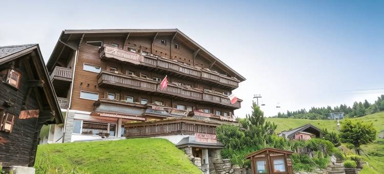 布雷默霍夫木屋酒店(Hotel Bettmerhof)图片