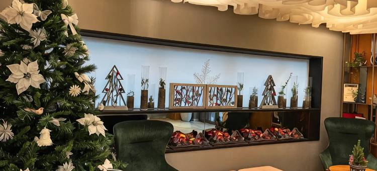 河畔公园酒店(Hotel River Park)图片
