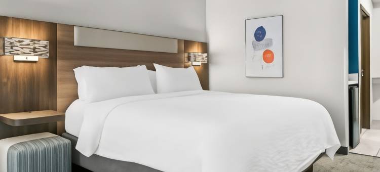 智选假日套房酒店底特律 - 诺维(Holiday Inn Express & Suites DETROIT-NOVI by IHG)图片