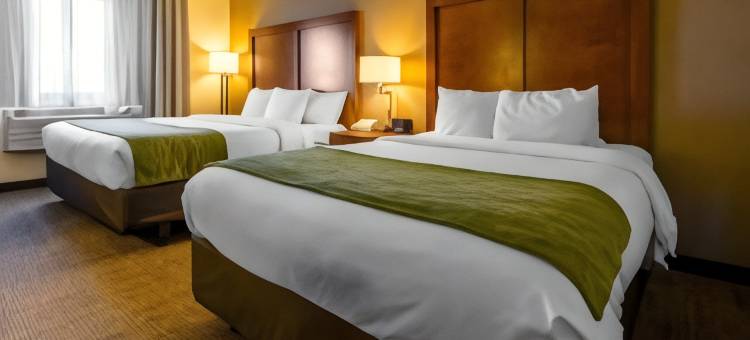伊利舒适酒店(Comfort Inn & Suites)图片