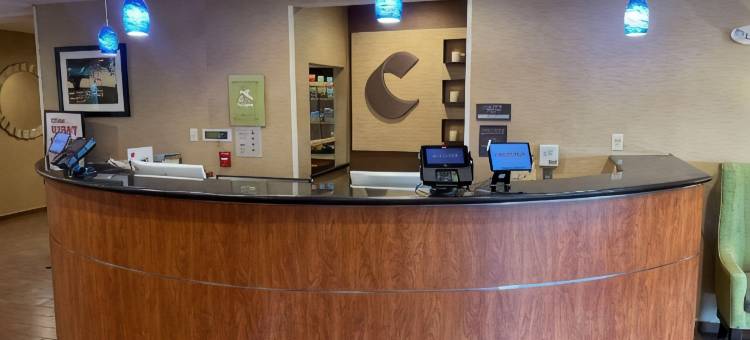 阿米什乡村舒适套房酒店(Comfort Suites Lancaster Amish Country)图片